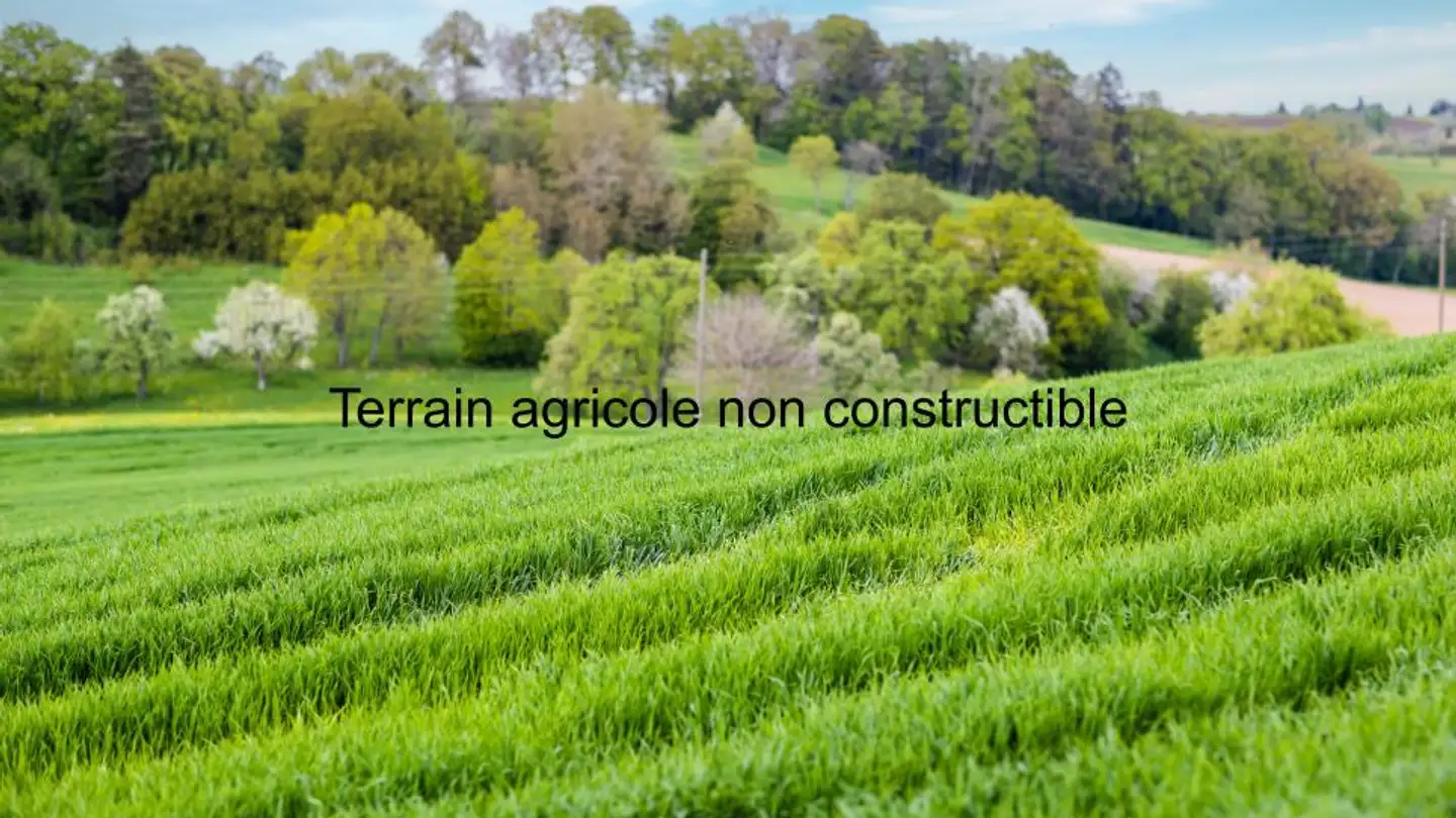 Constructible plot for sale - 1233 Bernex