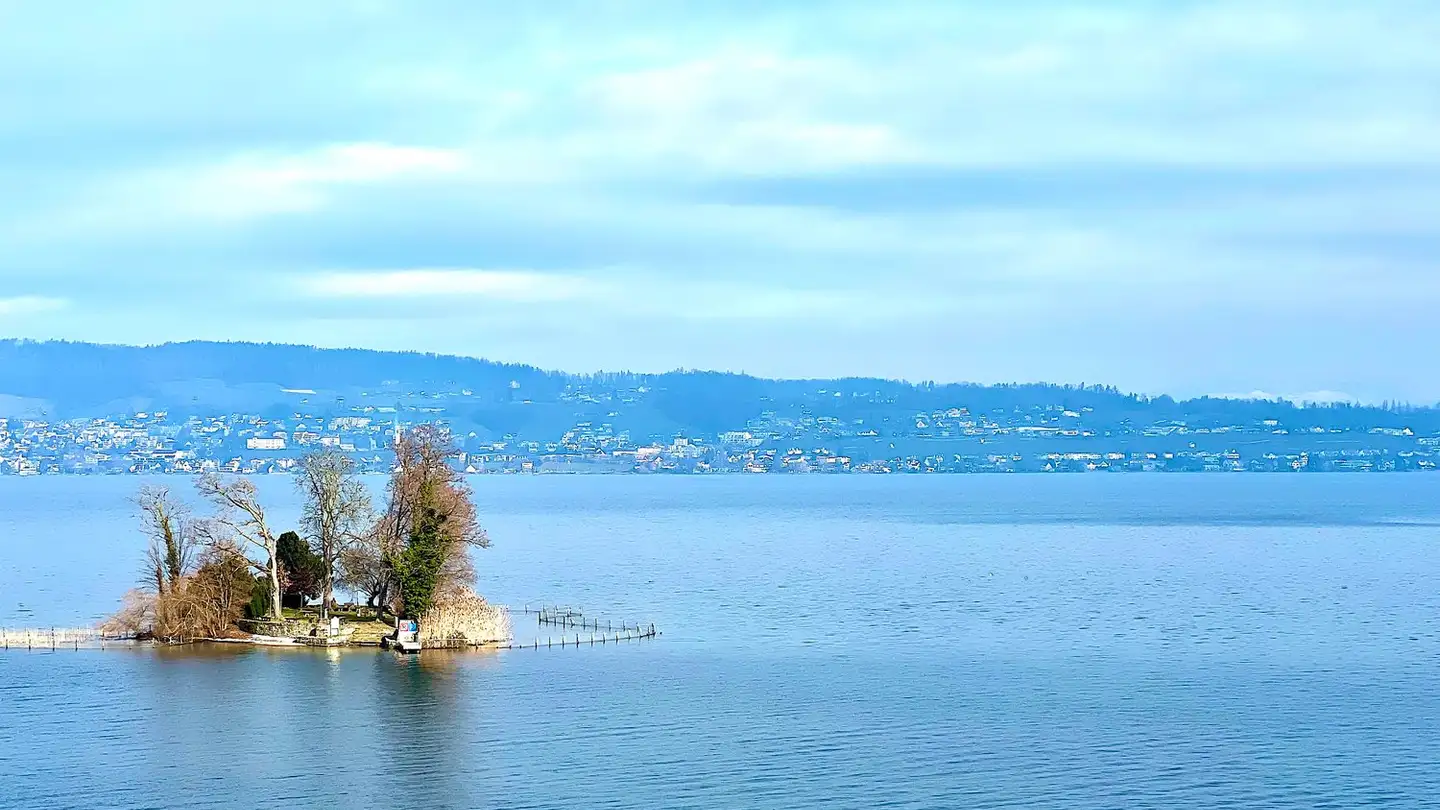 Appartamento a gradini in vendita - 8832 Wollerau - Foto 2