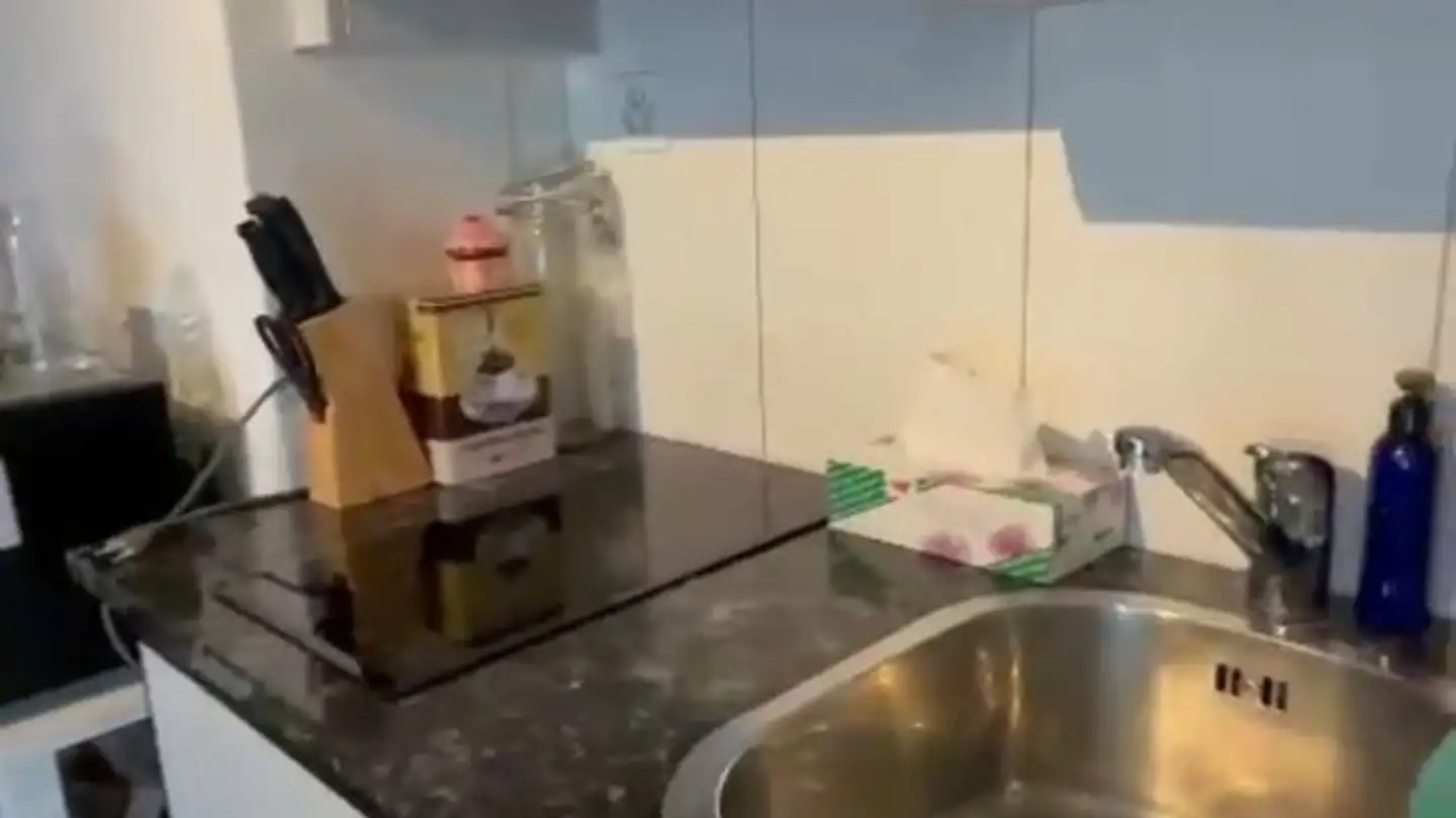 Apartment for rent - Tobelhofstrasse, 8044 Zürich - Photo 3