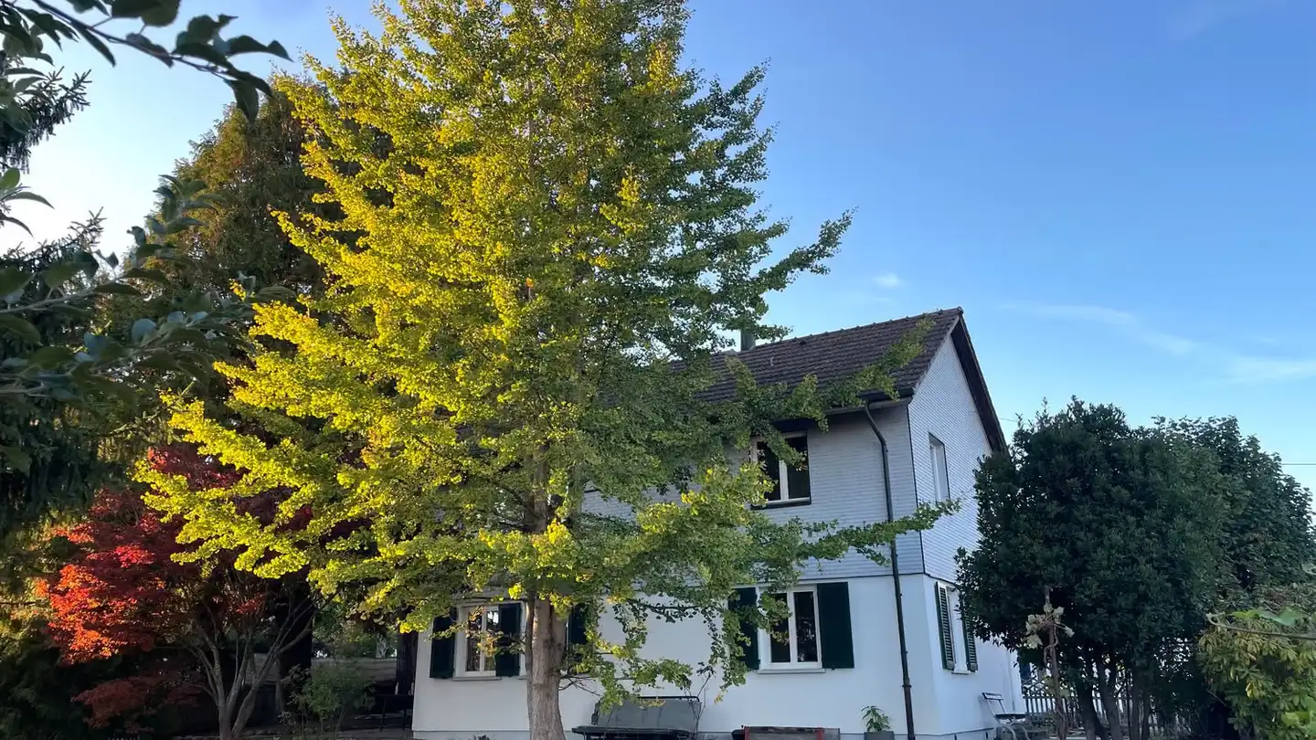 Maison individuelle à louer - Erlenweg 2, 5504 Othmarsingen
