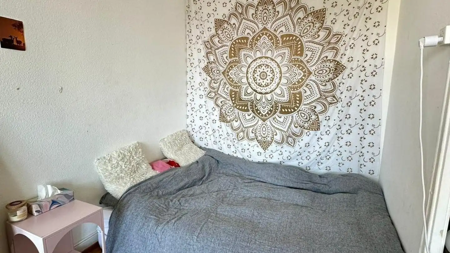 Wohnung mieten - Avenue De La Dôle, 1005 Lausanne