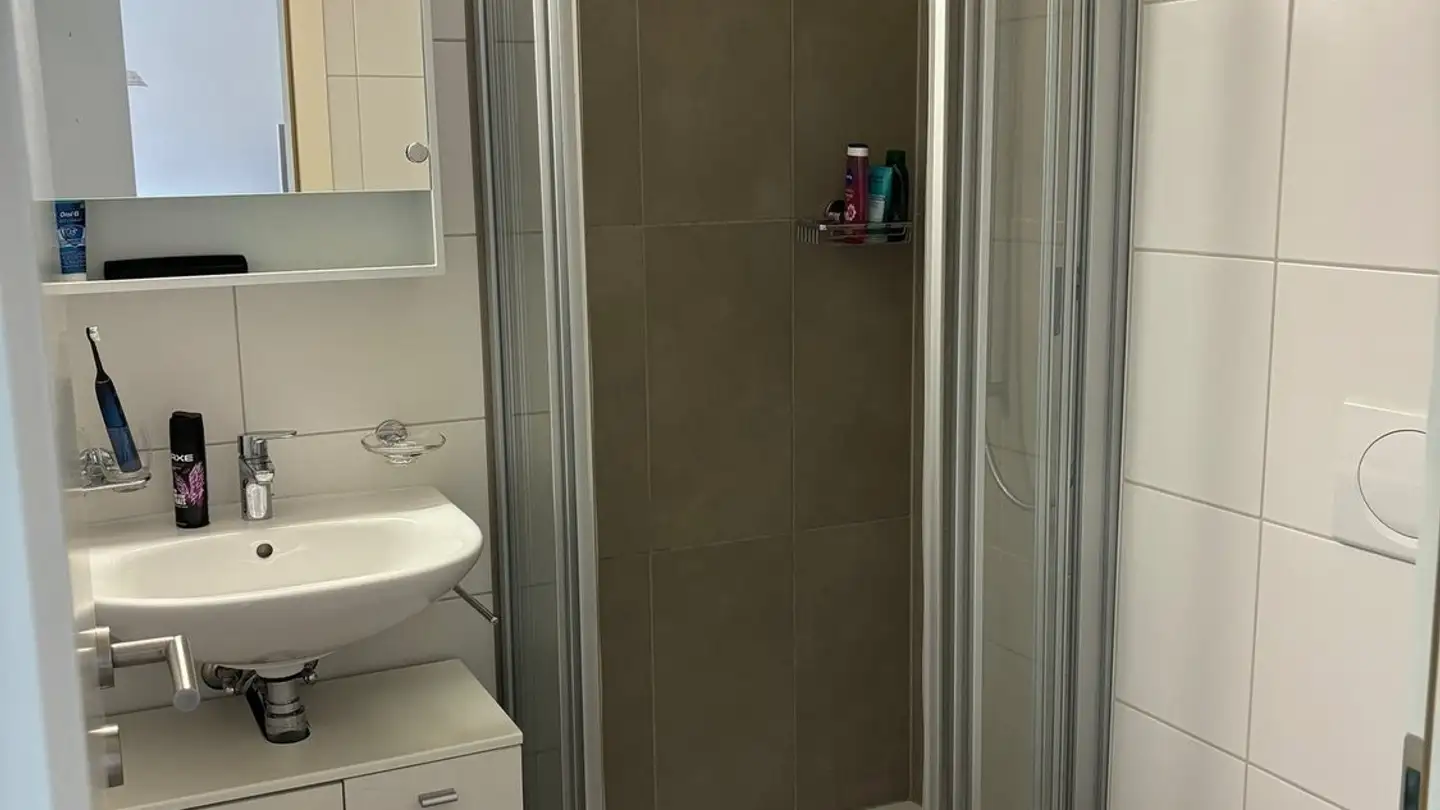 Apartment for rent - Chemin Des Sources, 3974 Mollens VS - Photo 2