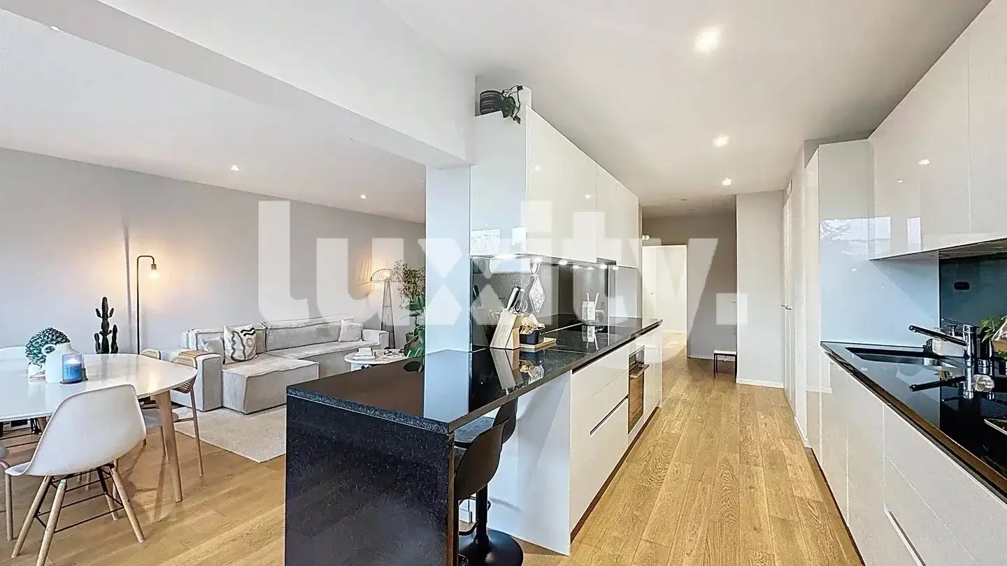 Appartamento in affitto - Rue Des Eaux-Vives, 1207 Genève - Photo 2