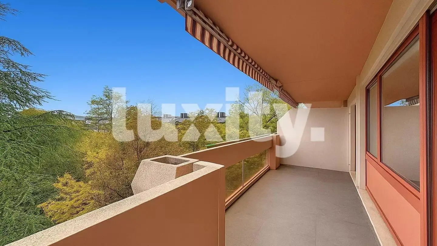 Appartamento in affitto - Rue Des Eaux-Vives, 1207 Genève - Photo 4