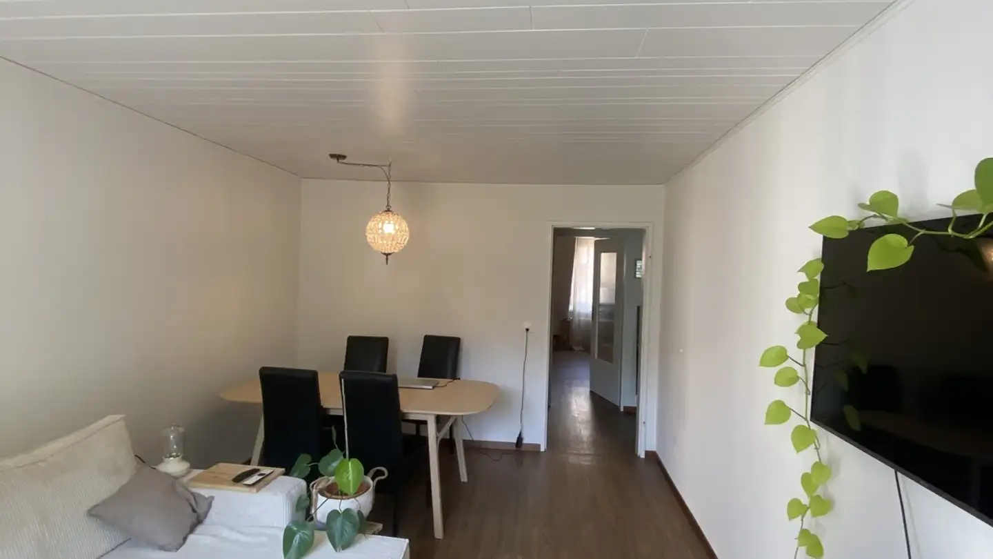 Single room for rent - Habsburgerstrasse 50, 6003 Luzern - Photo 2