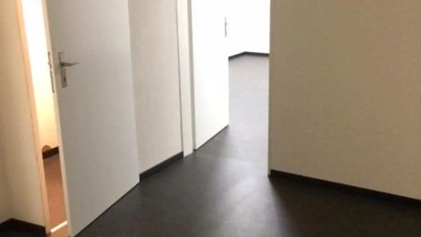 Sala hobby in affitto - Farnsburgerstrasse 52, 4052 Basel - Foto 3