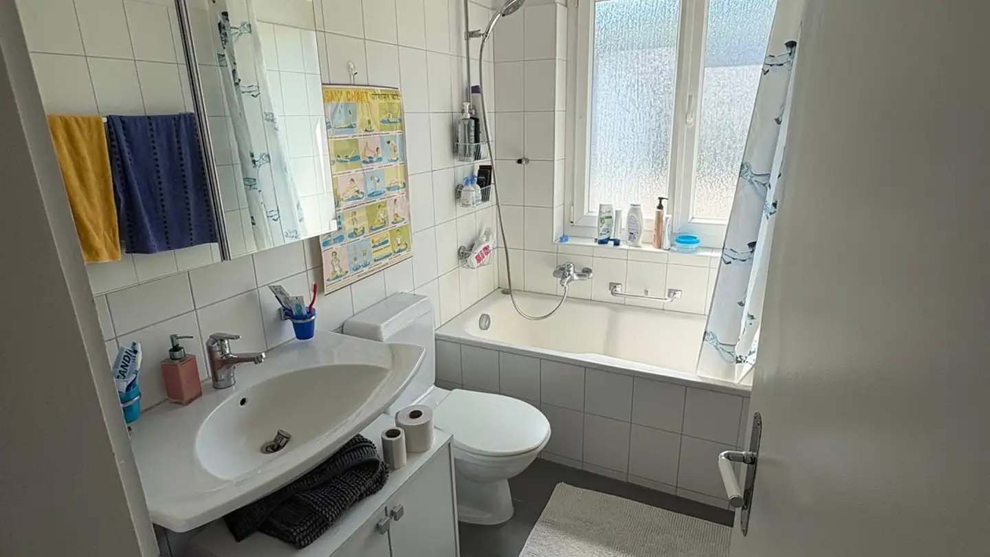 Chambre à louer - Herbstweg 170, 8050 Zürich - Photo 3