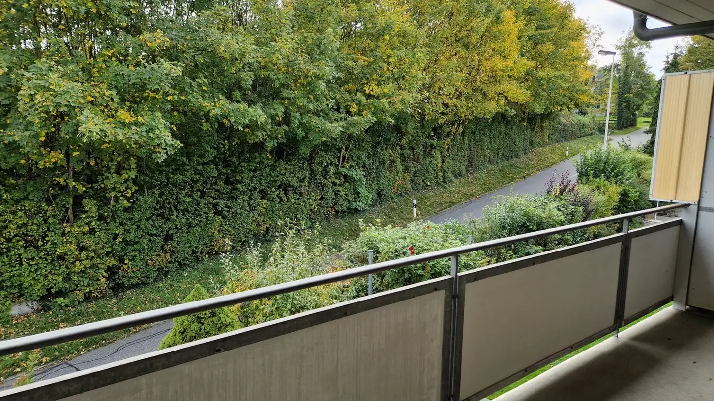 Appartamento in affitto - Buchserstrasse 20, 8155 Nassenwil