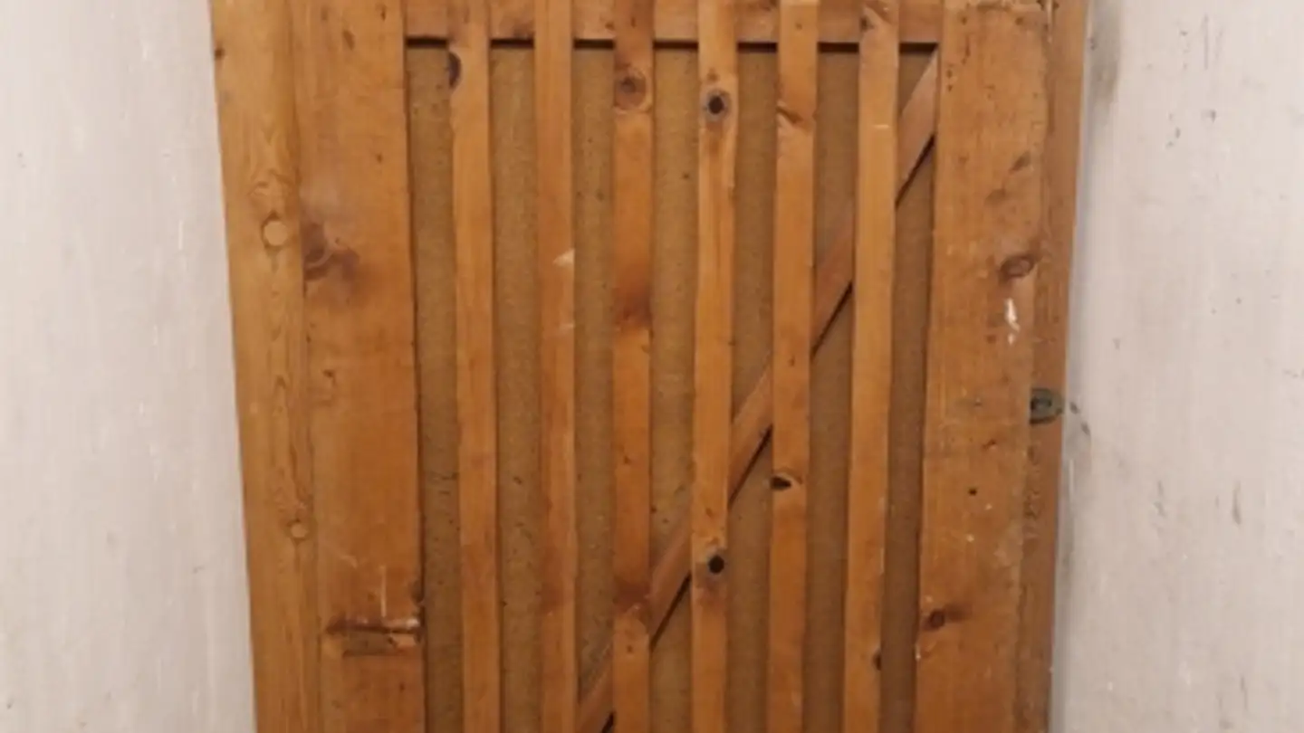 Commerciale in affitto - Holeeholzweg 69, 4102 Binningen - Photo 2