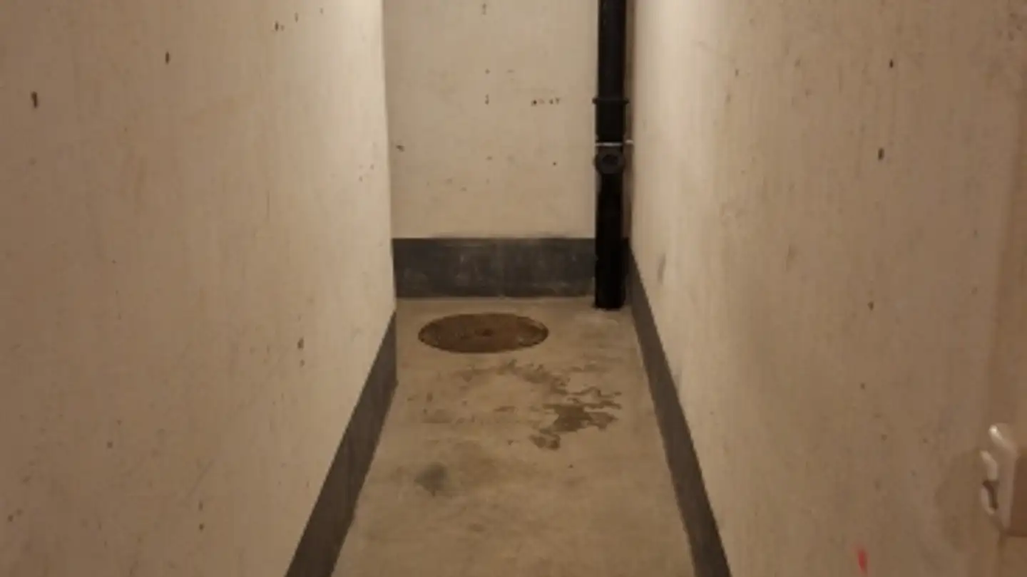 Commerciale in affitto - Holeeholzweg 69, 4102 Binningen - Photo 3