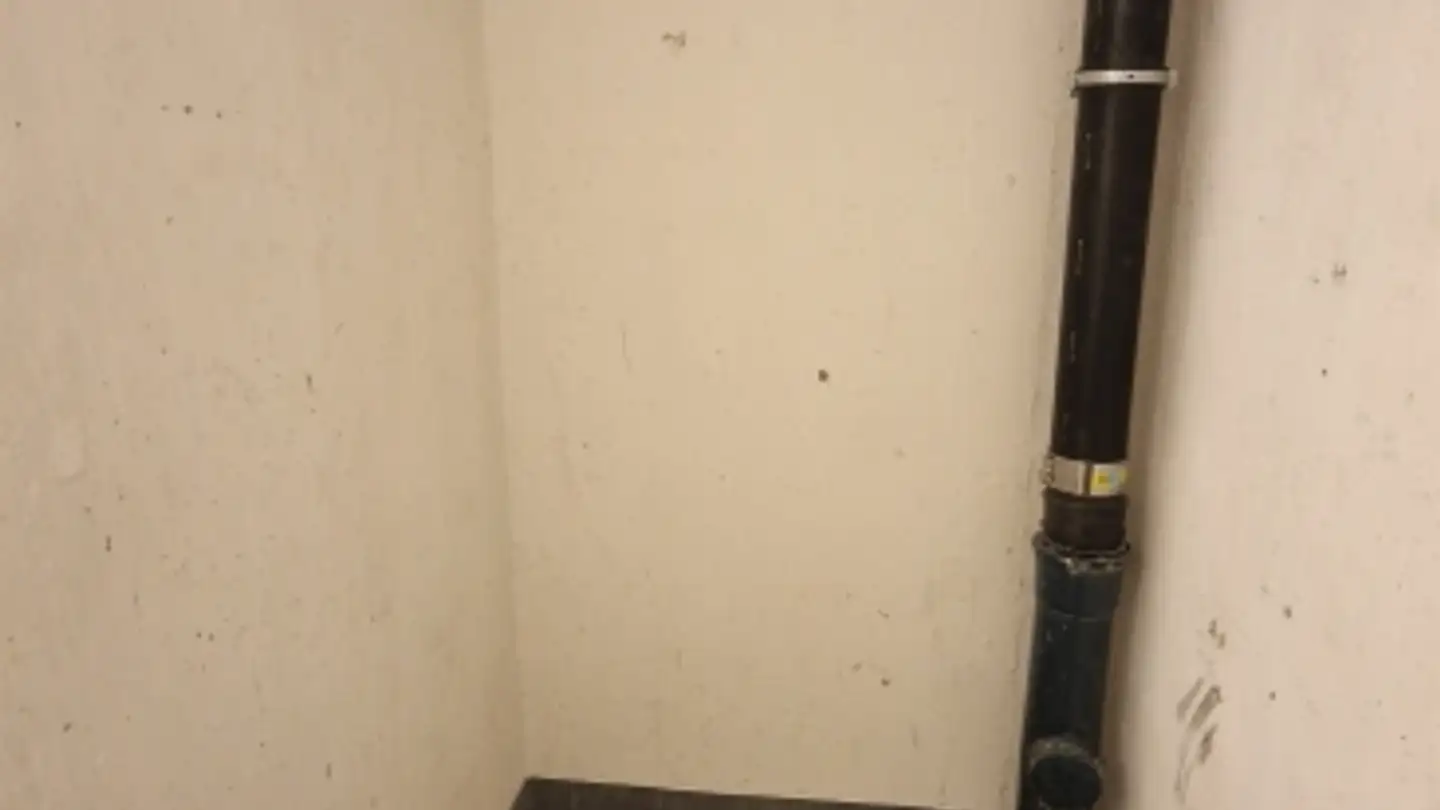 Commerciale in affitto - Holeeholzweg 69, 4102 Binningen - Photo 4