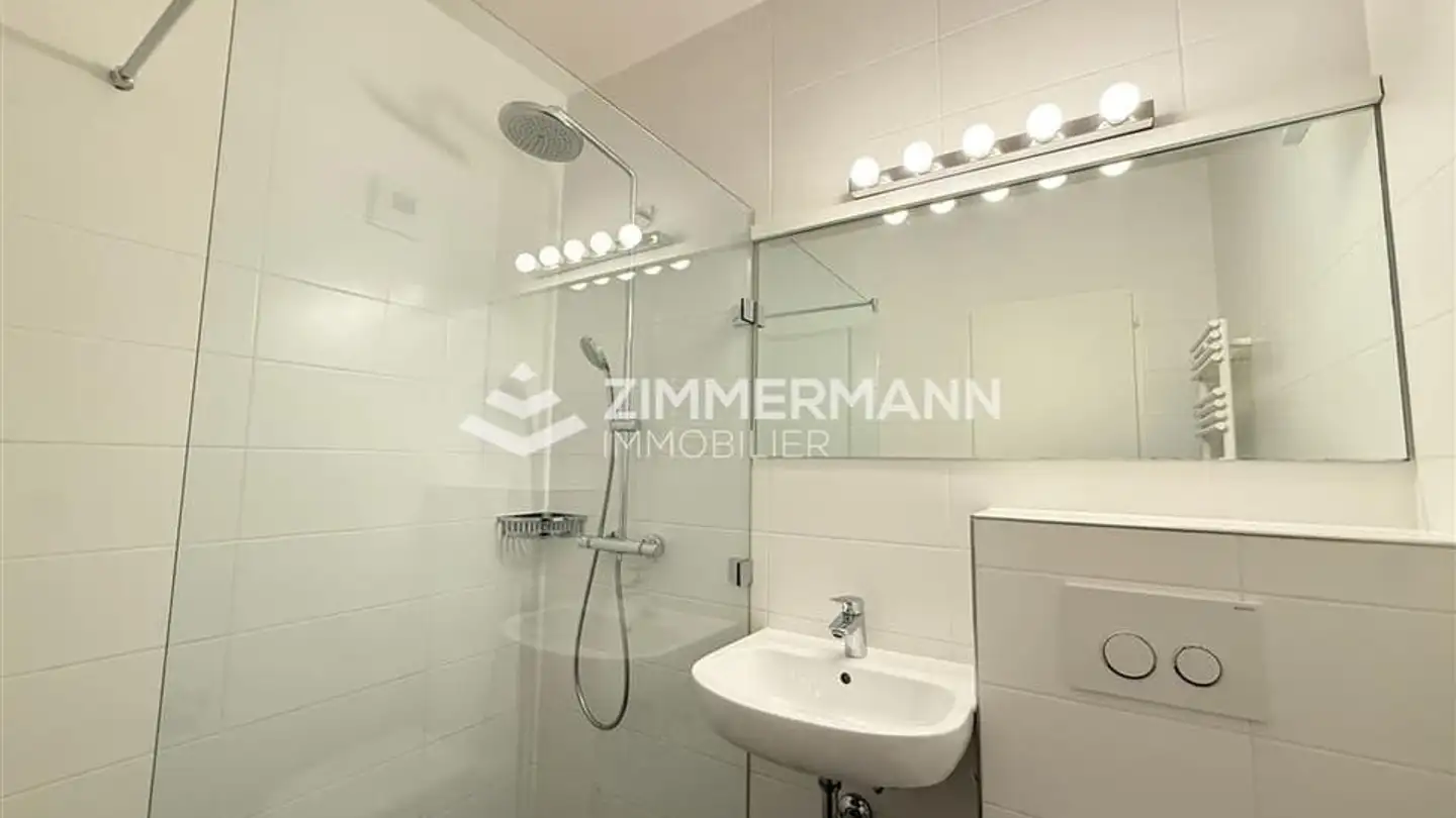 Appartamento in affitto - Rue De La Prulay, 1217 Meyrin - Foto 4