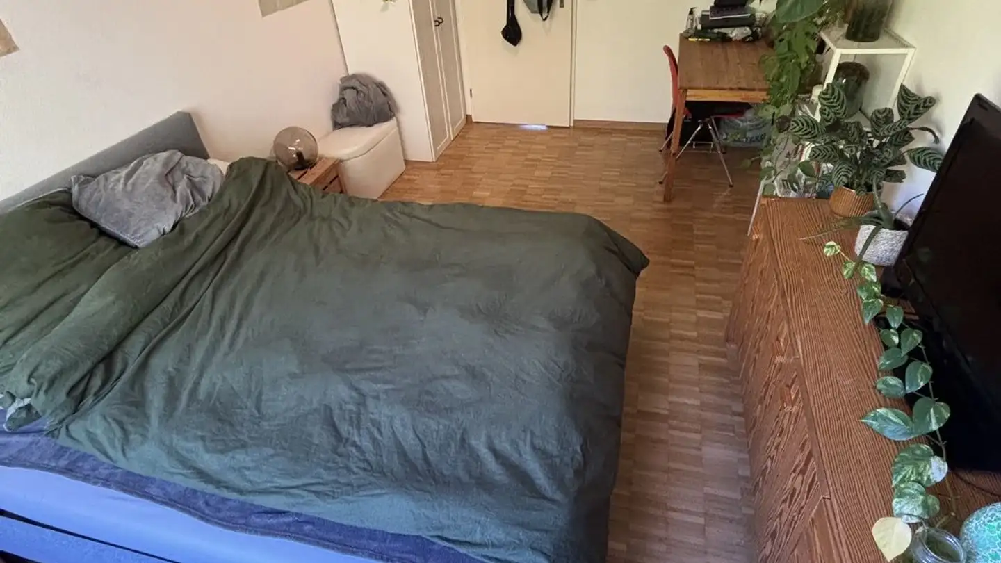 Chambre à louer - 8045 Zürich - Photo 2