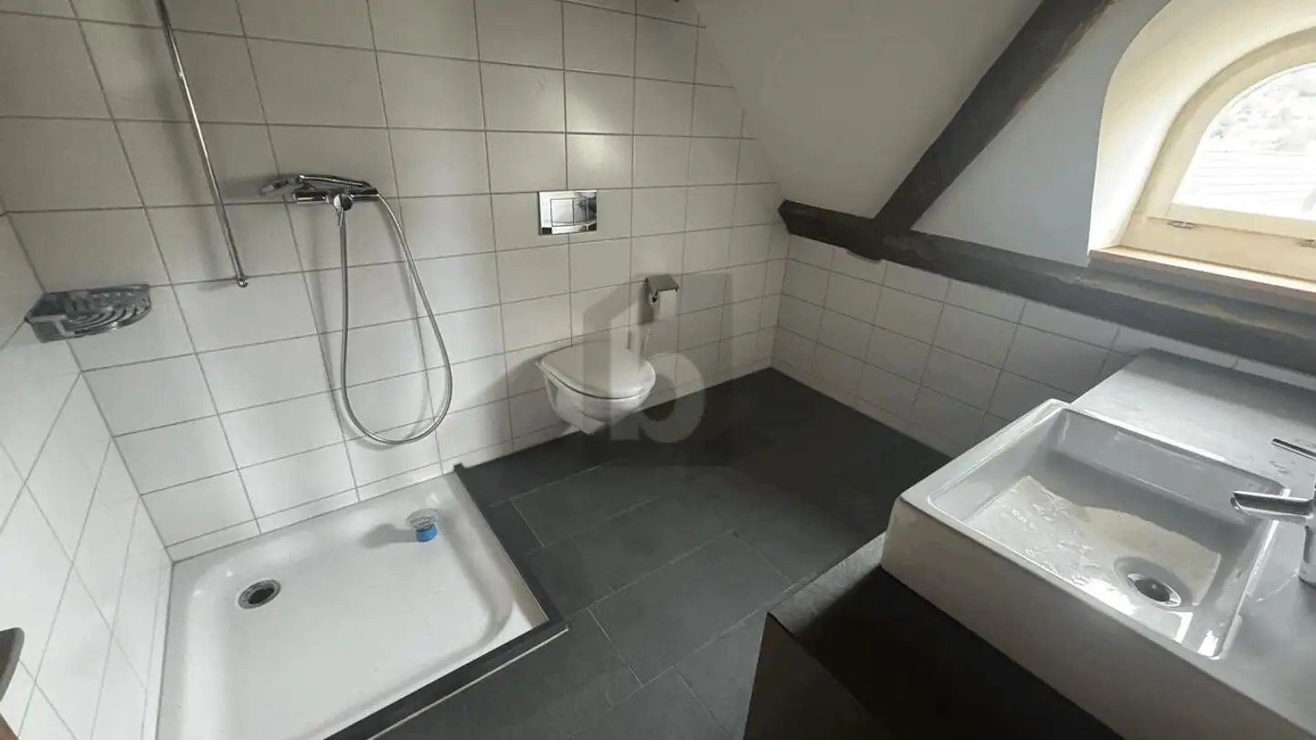 Attico in affitto - 4105 Biel-Benken BL - Photo 3