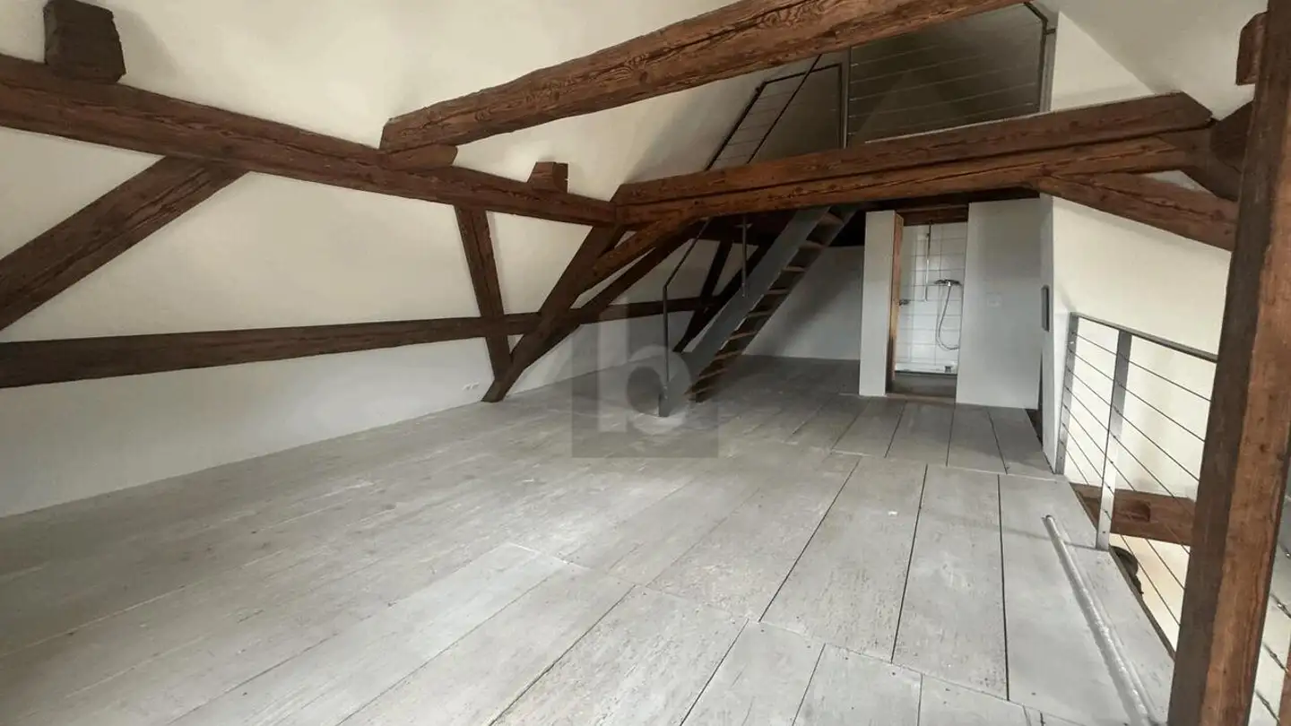 Attico in affitto - 4105 Biel-Benken BL - Photo 4
