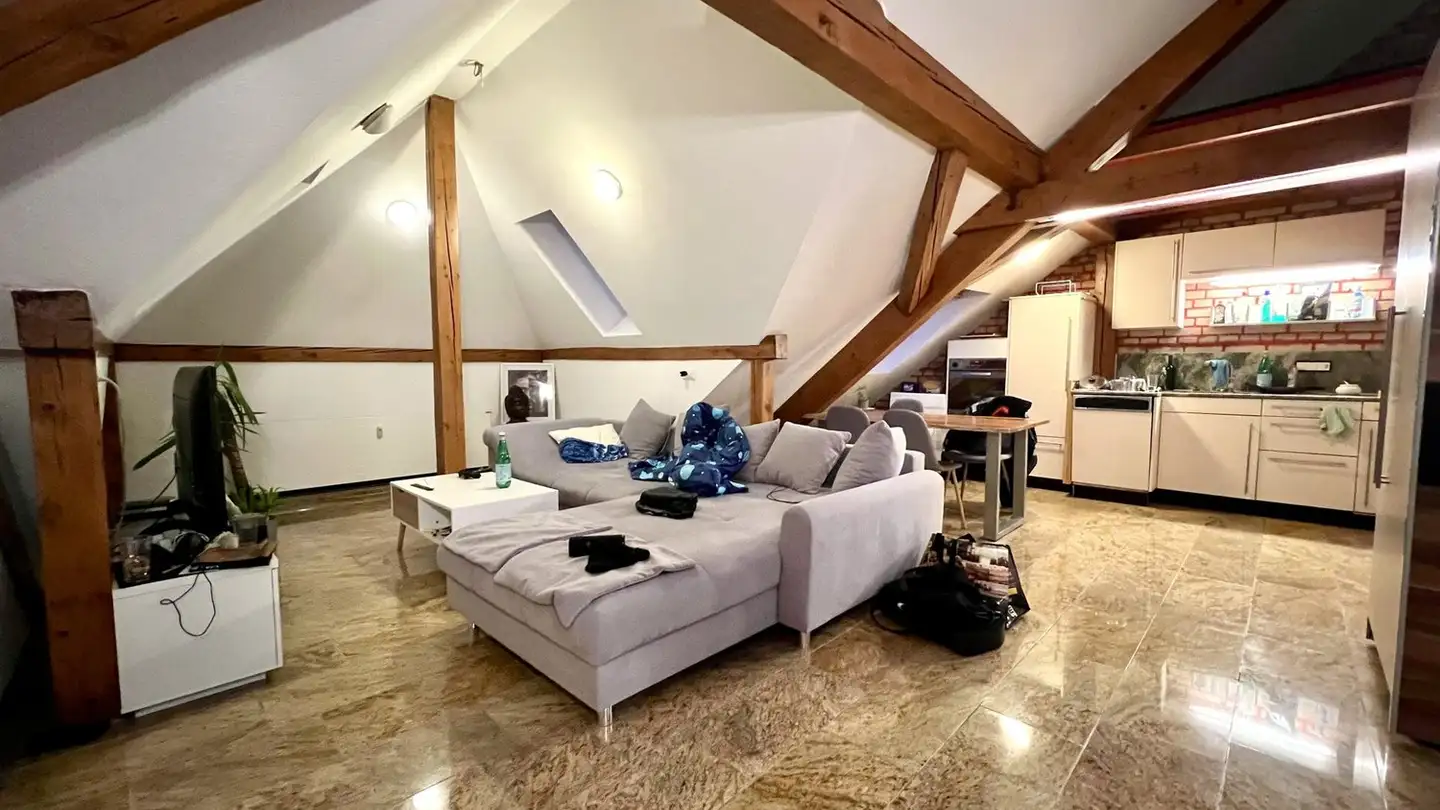 Attico in affitto - Jägerstrasse 19, 4058 Basel