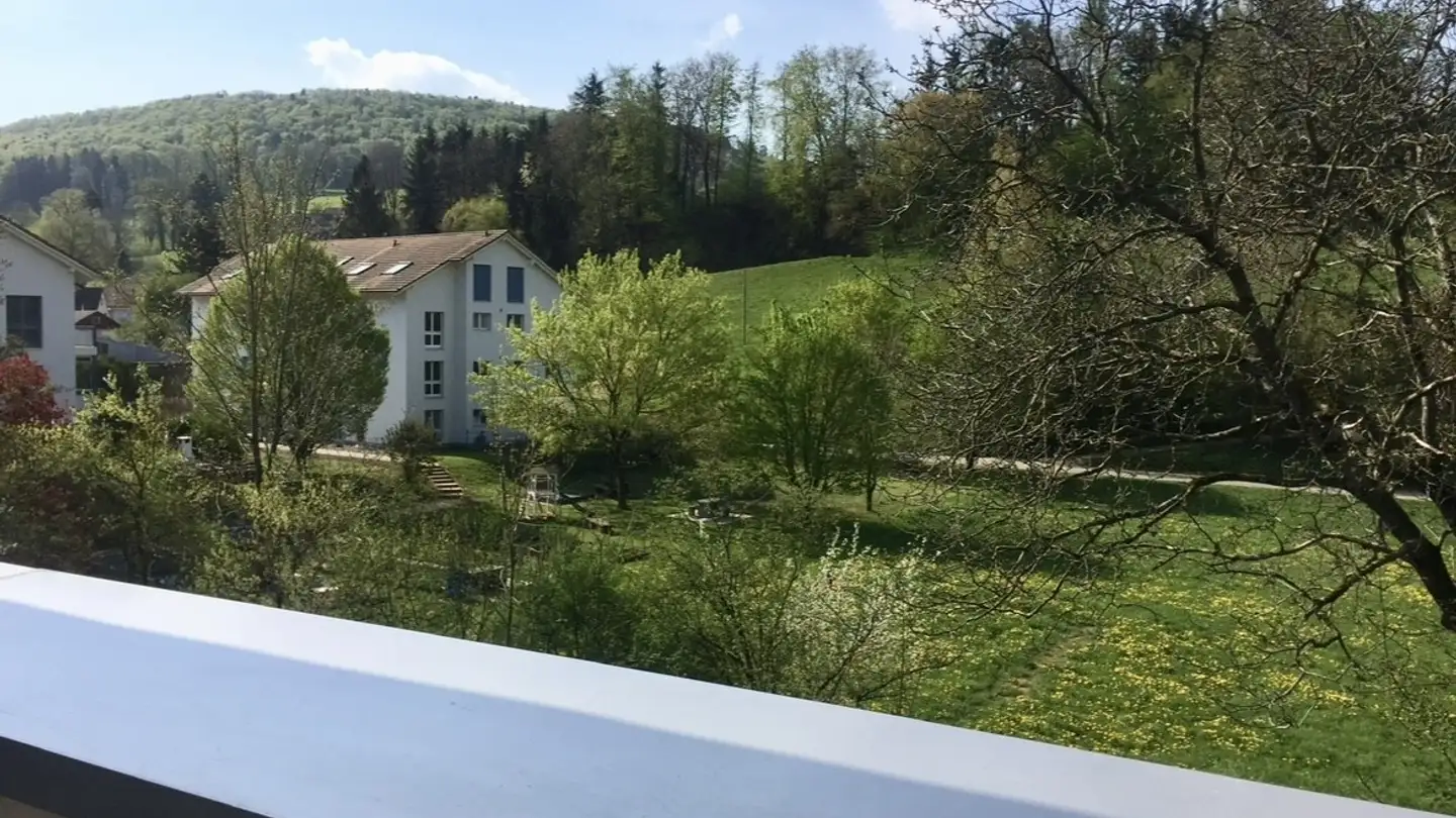 Appartamento in affitto - Hauptstrasse 20, 4315 Zuzgen - Foto 2