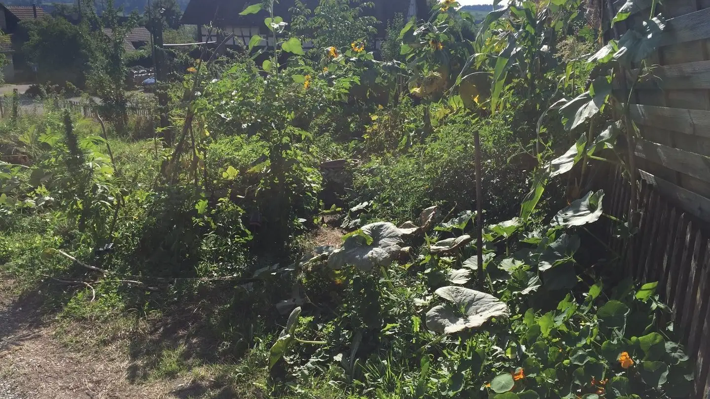 Appartamento in affitto - Möhe 8, 8476 Unterstammheim - Photo 2