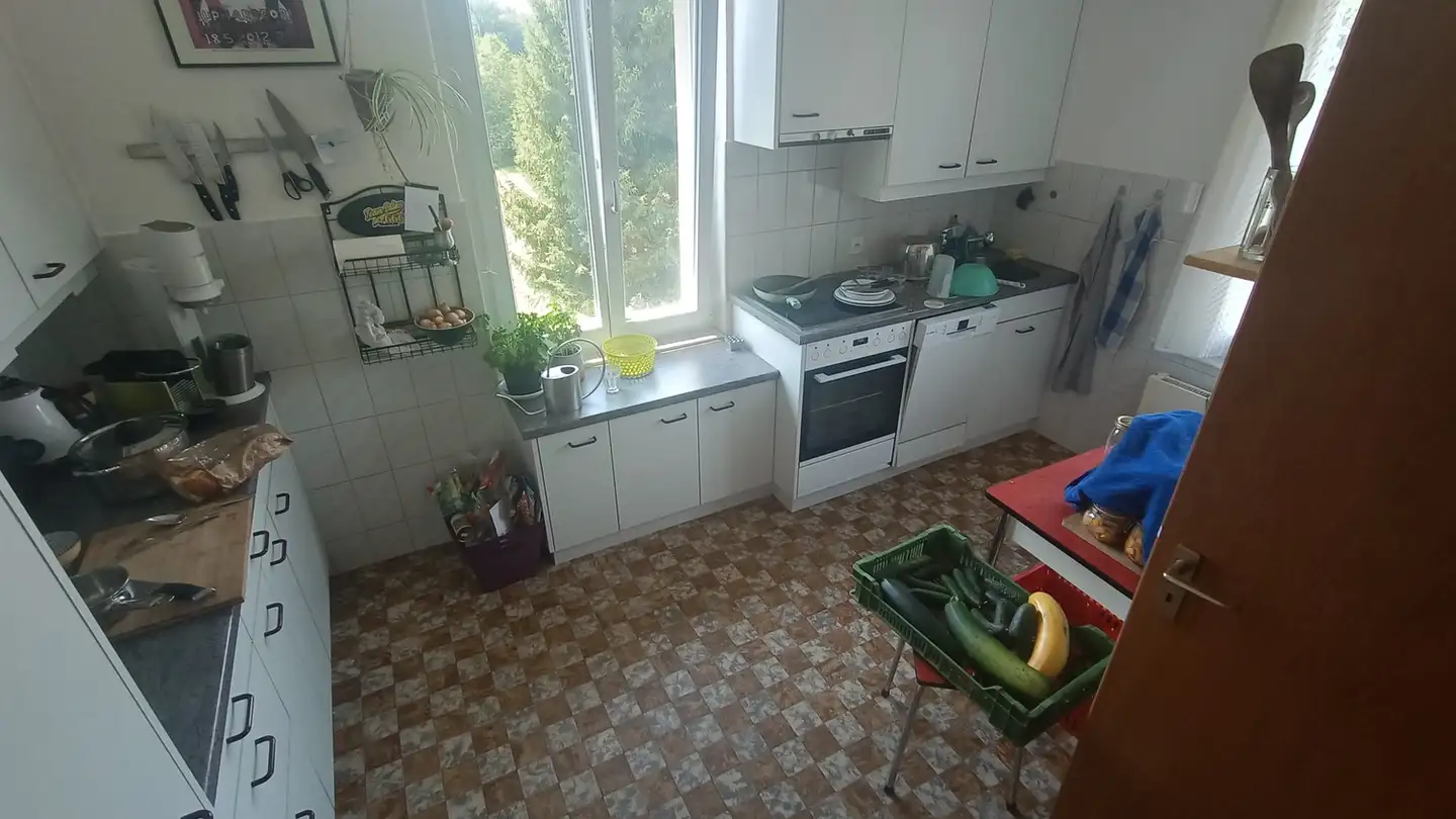 Single room for rent - 5200 Brugg AG - Photo 4