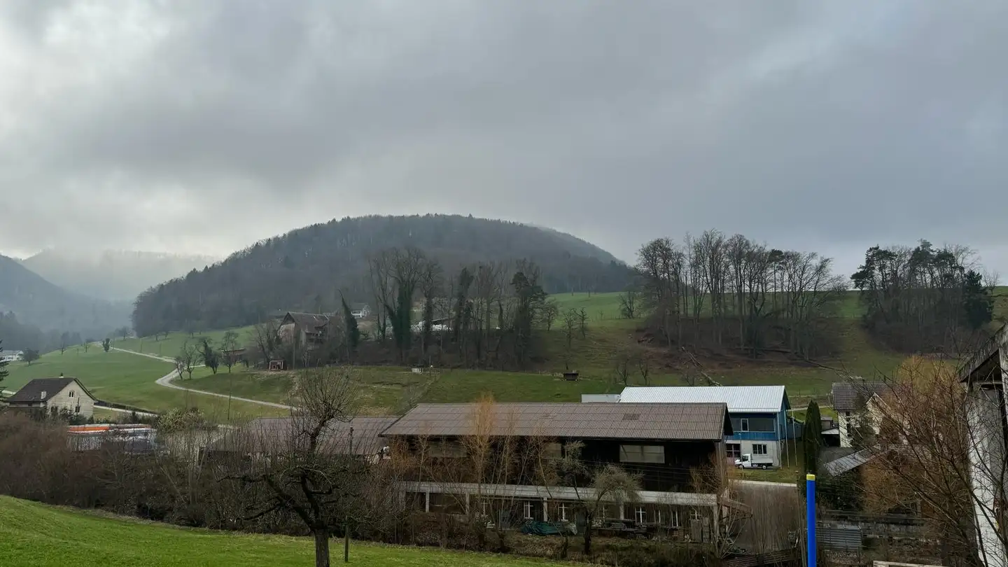 Maison individuelle à vendre - Häuserrain, 4495 Zeglingen - Photo 2