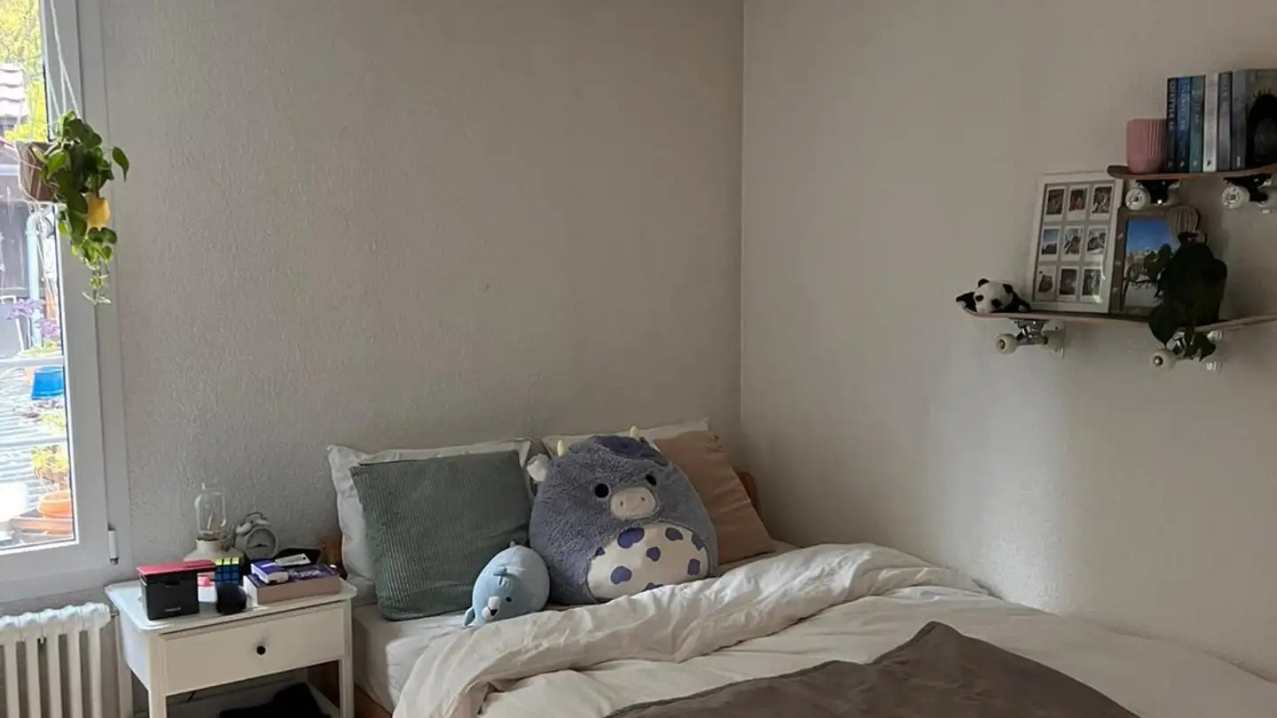 Single room for rent - Felsenaustrasse 28, 3004 Bern