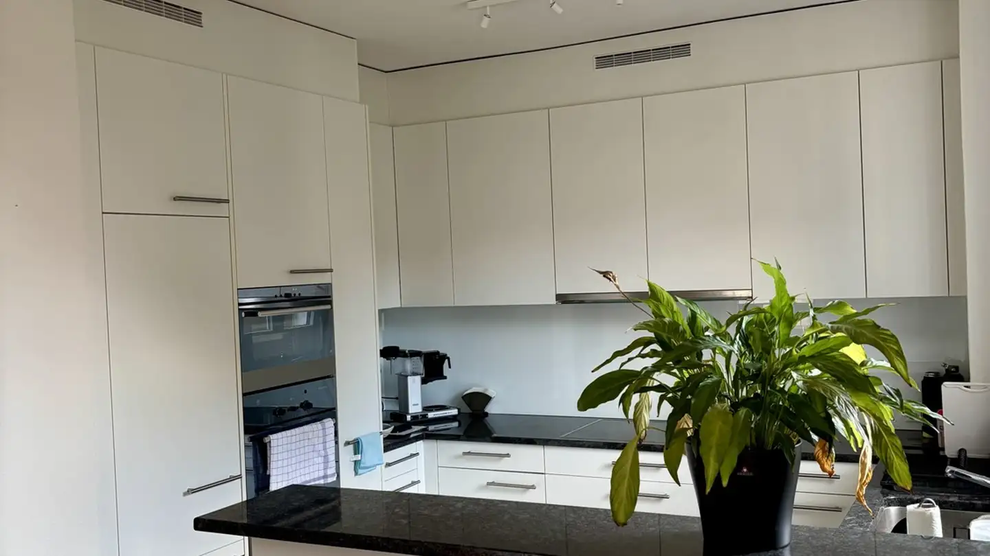 Zimmer mieten - Schrennengasse, 8003 Zürich - Foto 4