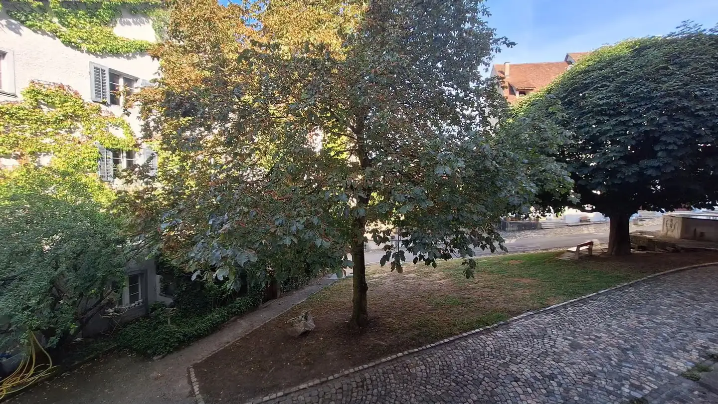 Appartamento in affitto - Pfarrhofgässli, 5466 Kaiserstuhl AG