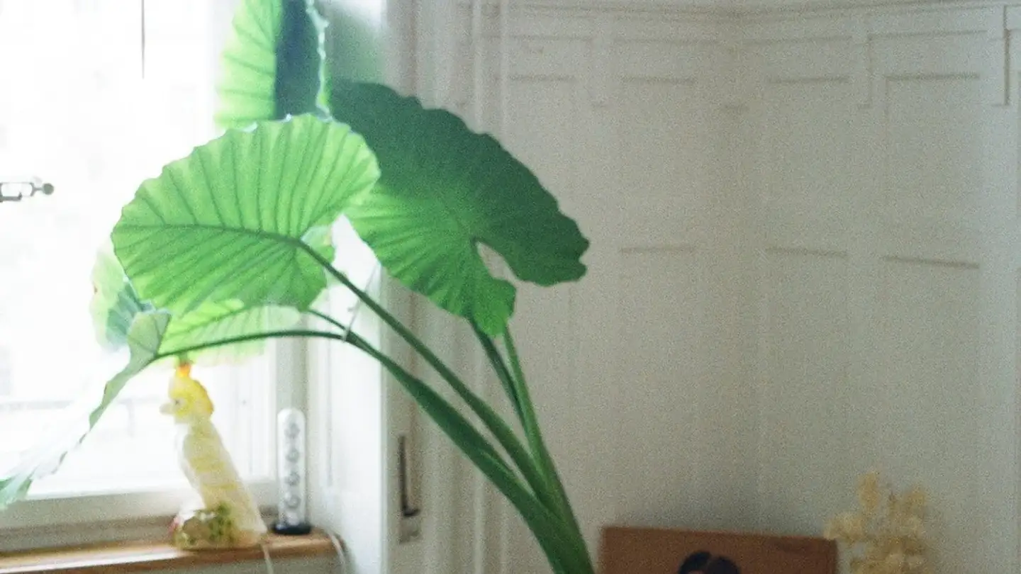 Single room for rent - Hallwylstrasse 44, 3005 Bern