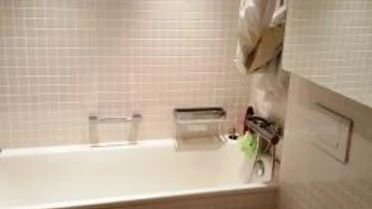 Appartamento in affitto - Rütistrasse 78, 8134 Adliswil - Foto 3