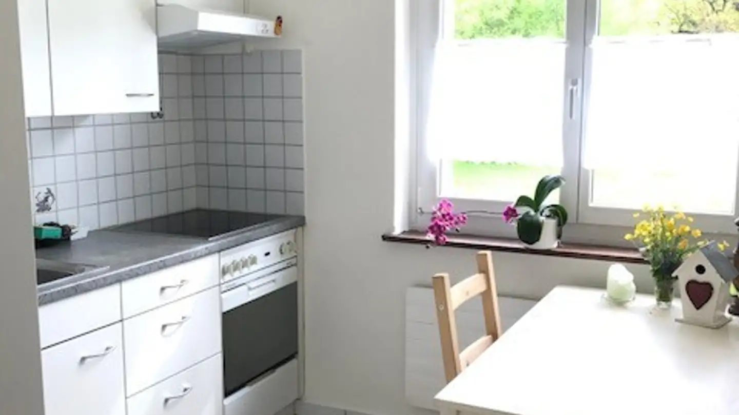 Appartamento in affitto - Geeligstrasse 1, 5412 Gebenstorf - Photo 2