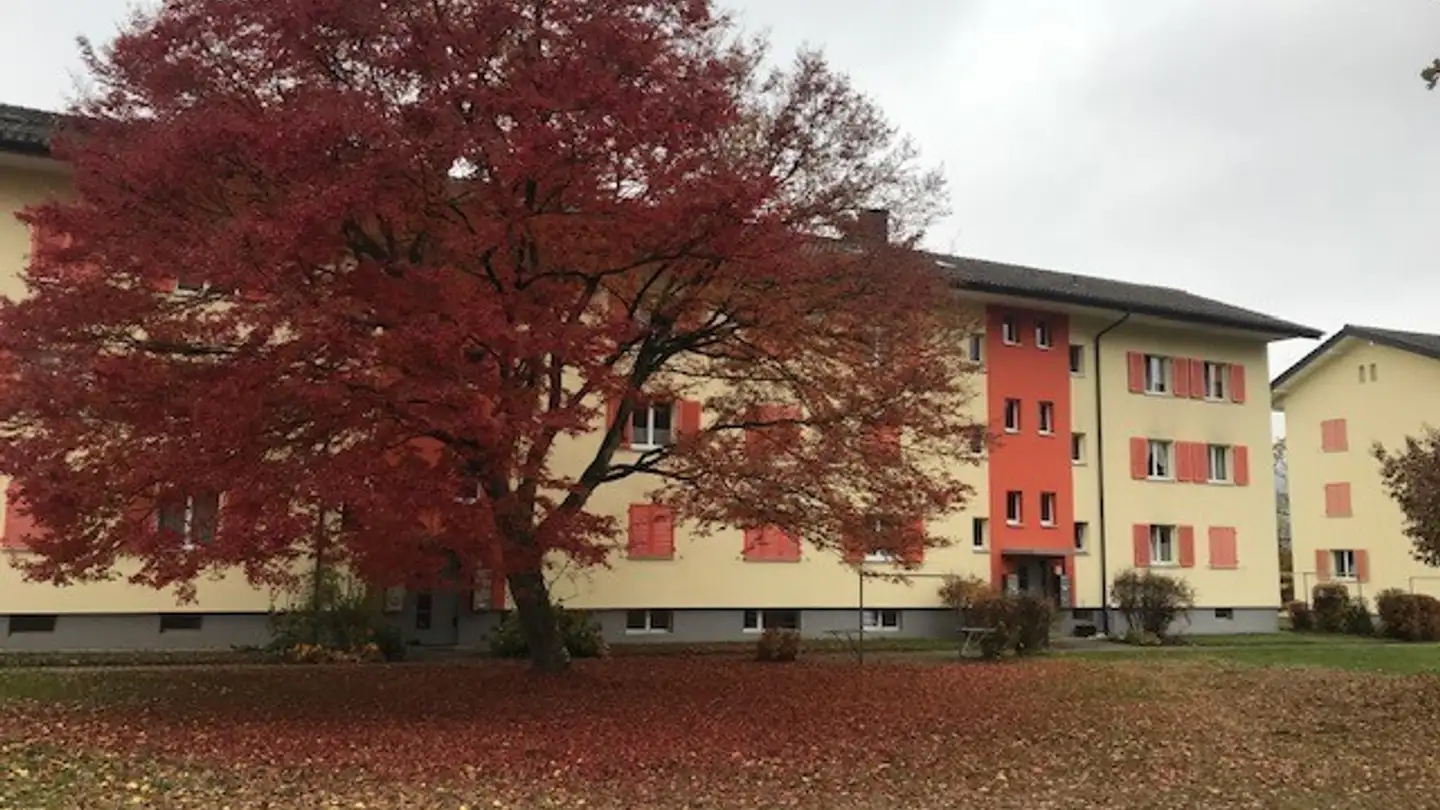 Appartamento in affitto - Geeligstrasse 1, 5412 Gebenstorf - Photo 3