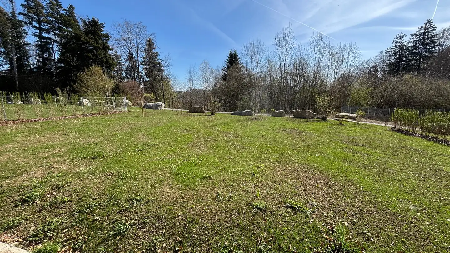 Appartamento in affitto - Allmendstrasse 56, 8914 Aeugst am Albis