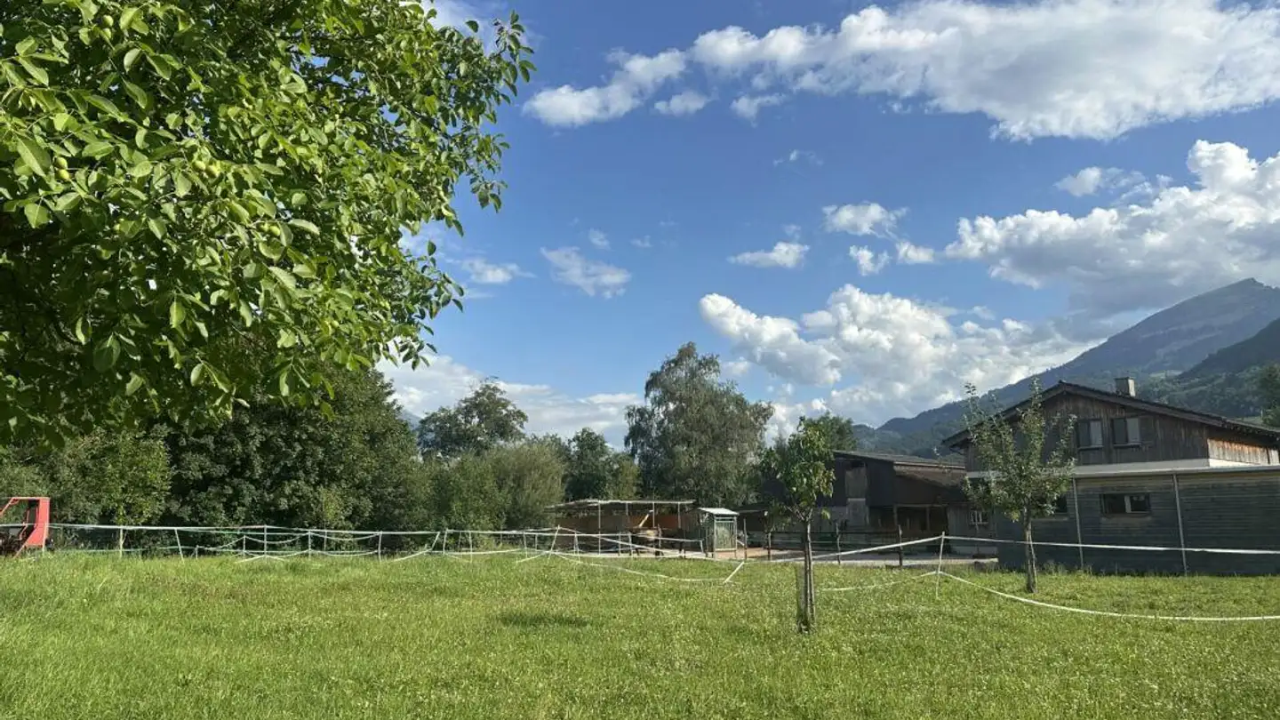 Single house for rent - Eichenaustrasse 6, 9470 Buchs SG