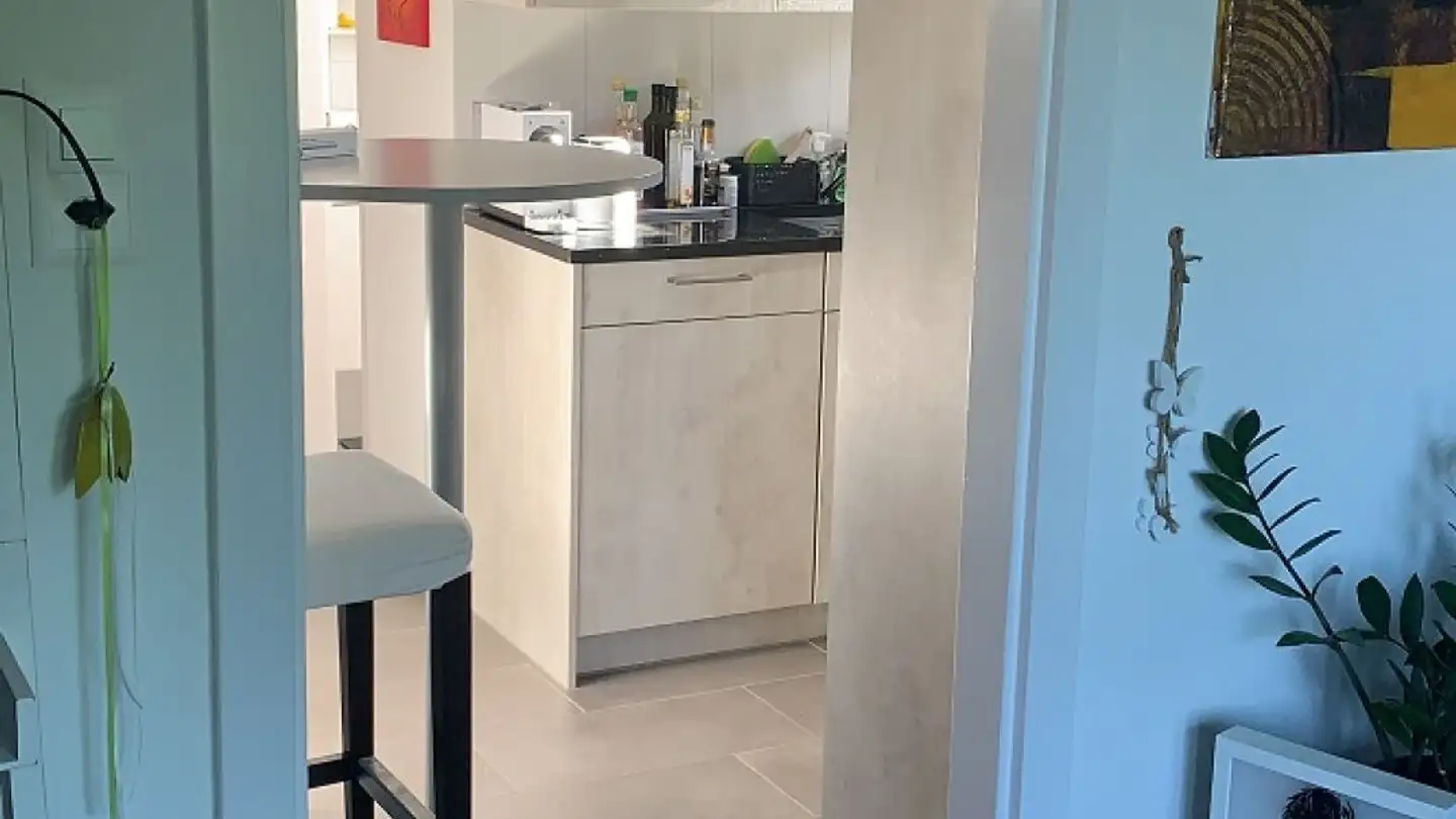 Attic flat for rent - Haldenstrasse 15, 9548 Matzingen - Photo 3