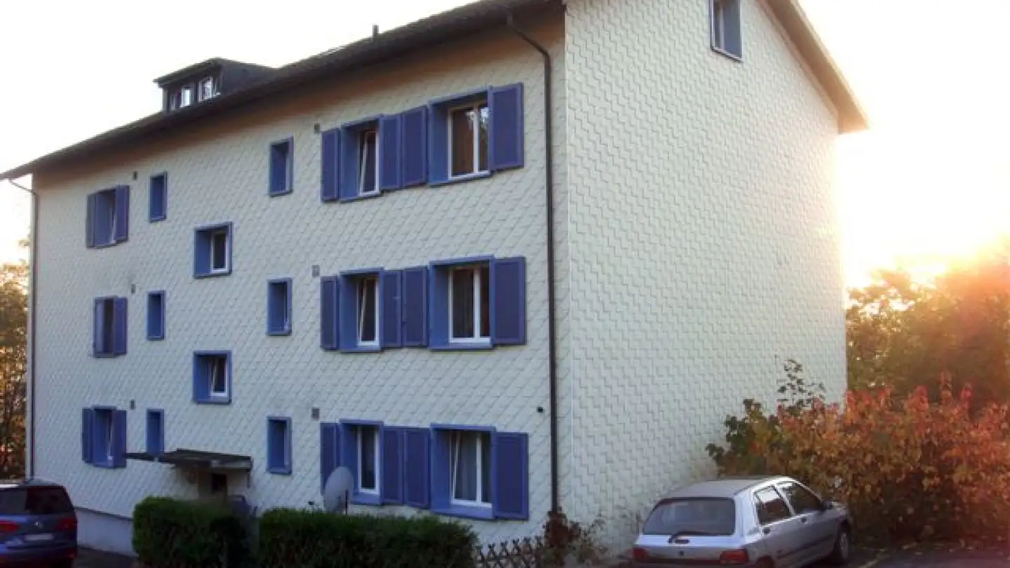 Attic flat for rent - Haldenstrasse 15, 9548 Matzingen