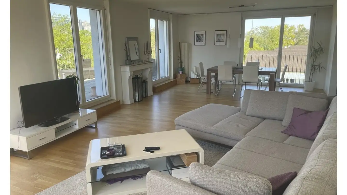 Appartamento in affitto - 8055 Zürich - Photo 3