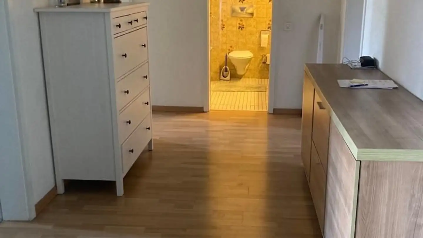 Chambre à louer - 8045 Zürich - Photo 2