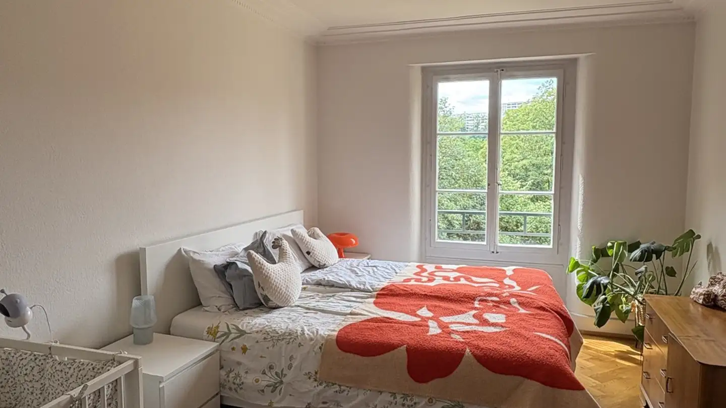 Appartamento in affitto - Rue Des Deux-Ponts 28, 1205 Genève - Foto 2