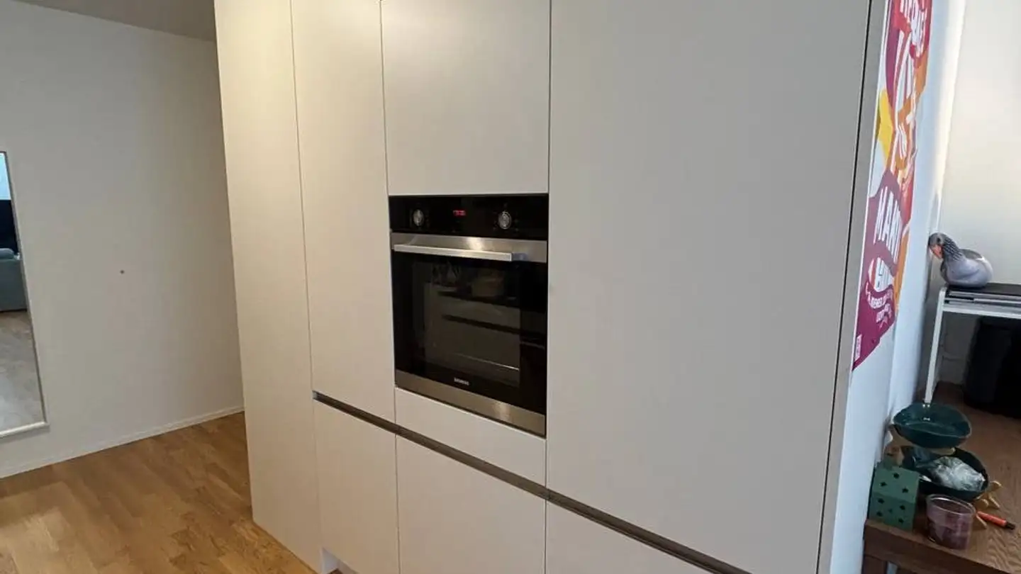 Appartamento in affitto - Austrasse 46, 8045 Zürich - Foto 4