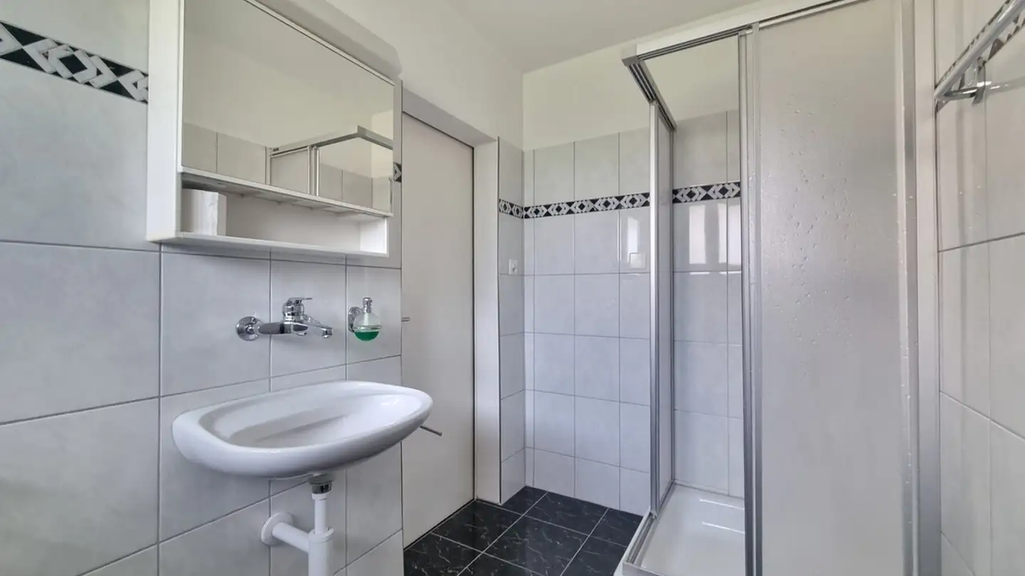 Commercial à louer - Schaufelbergerstrasse, 8055 Zürich - Photo 4