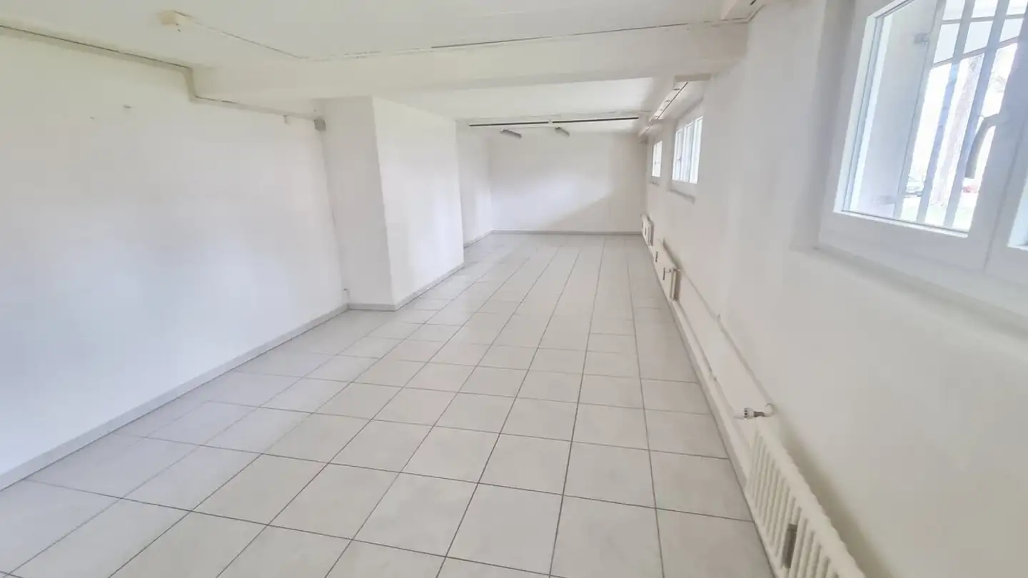 Commercial à louer - Schaufelbergerstrasse, 8055 Zürich - Photo 2