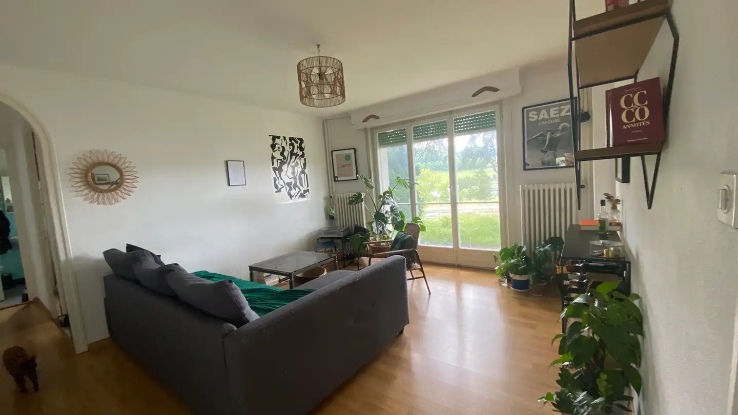 Appartement à louer - 1070 Puidoux