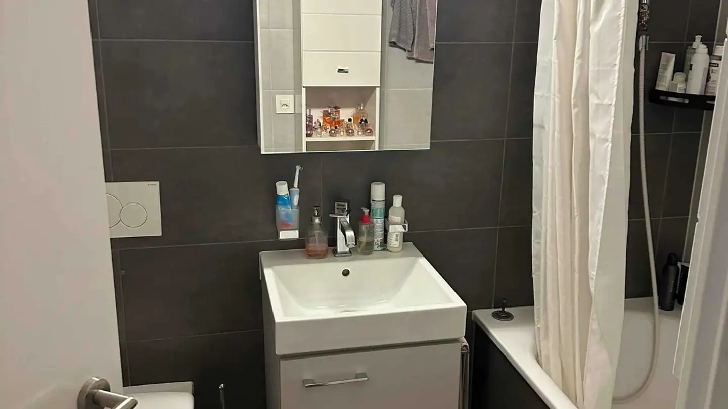 Appartement à louer - Chemin Des Abeilles 21, 1010 Lausanne - Photo 2