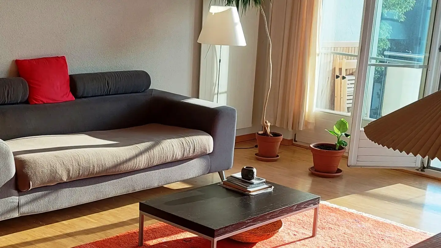 Appartamento in affitto - 8340 Hinwil