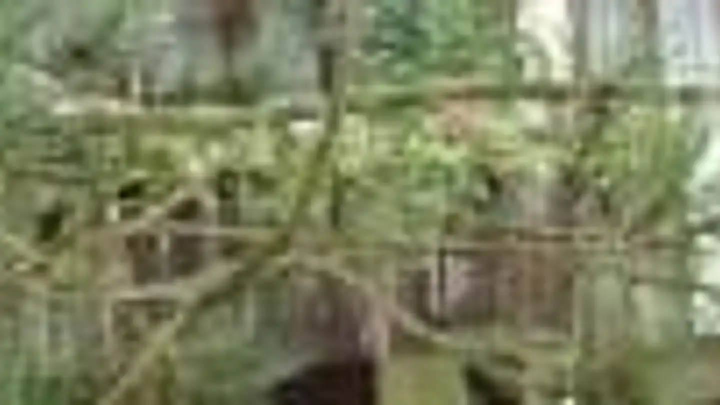 Appartamento in affitto - Kruggasse 5, 5462 Siglistorf