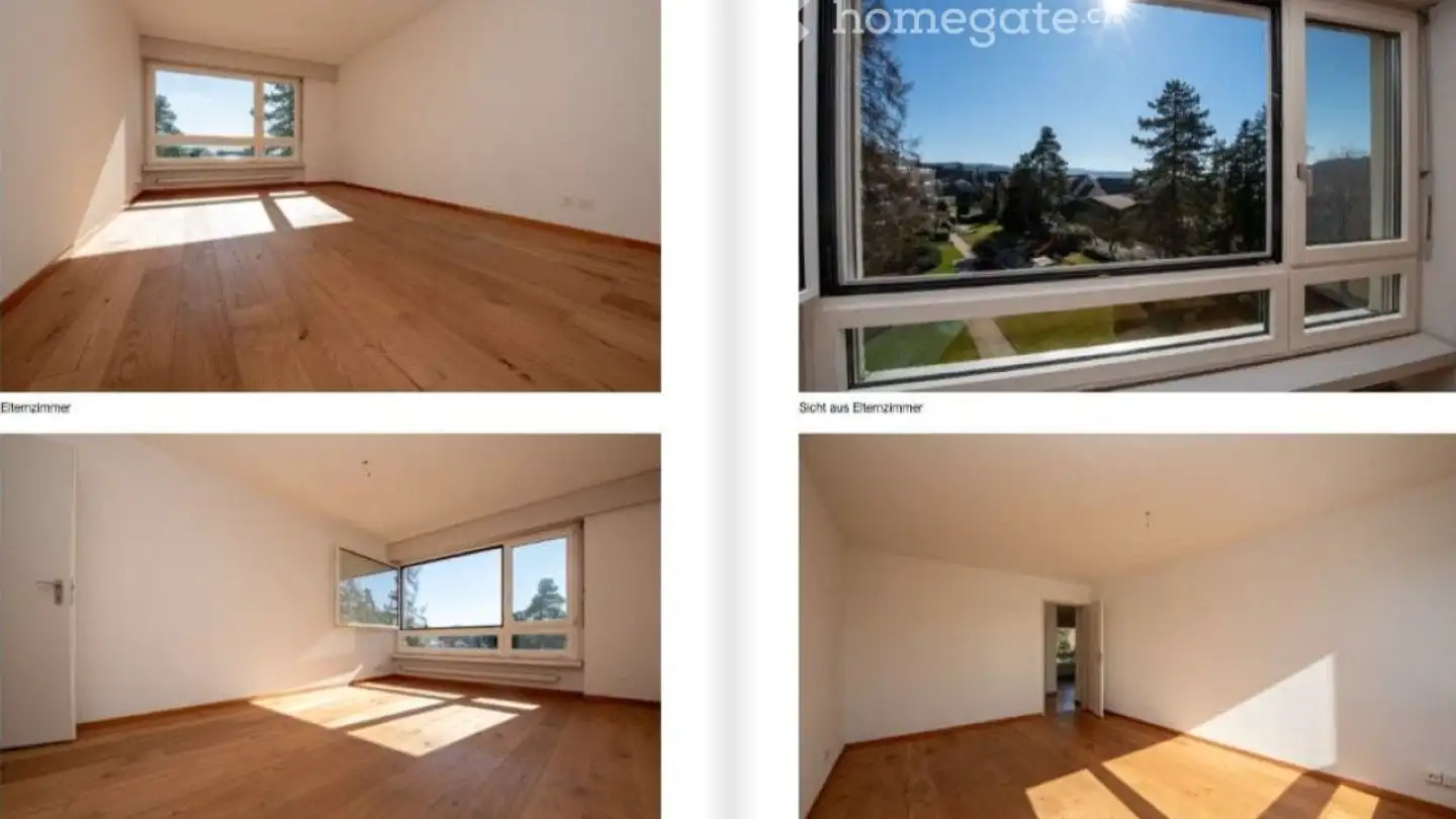 Apartment for rent - 8907 Wettswil