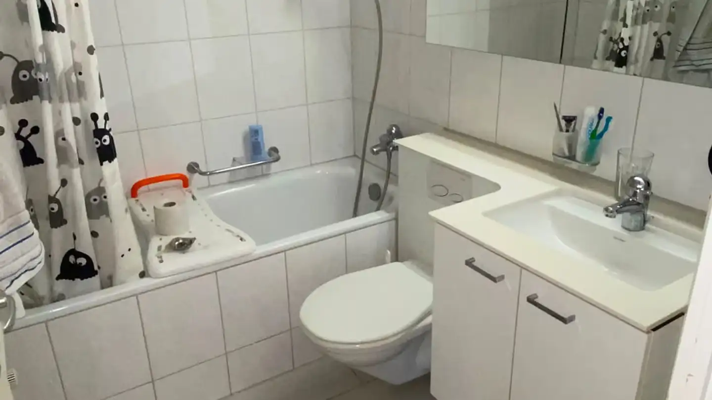 Appartamento in affitto - Geiselweidstrasse 9, 8400 Winterthur - Foto 2