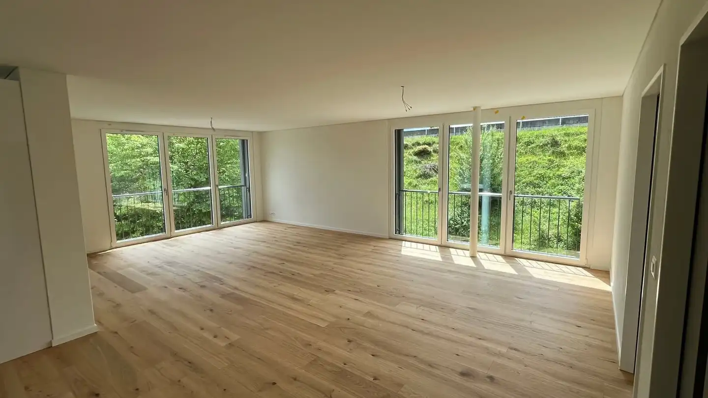 Loft for rent - Dammweg, 5200 Brugg AG