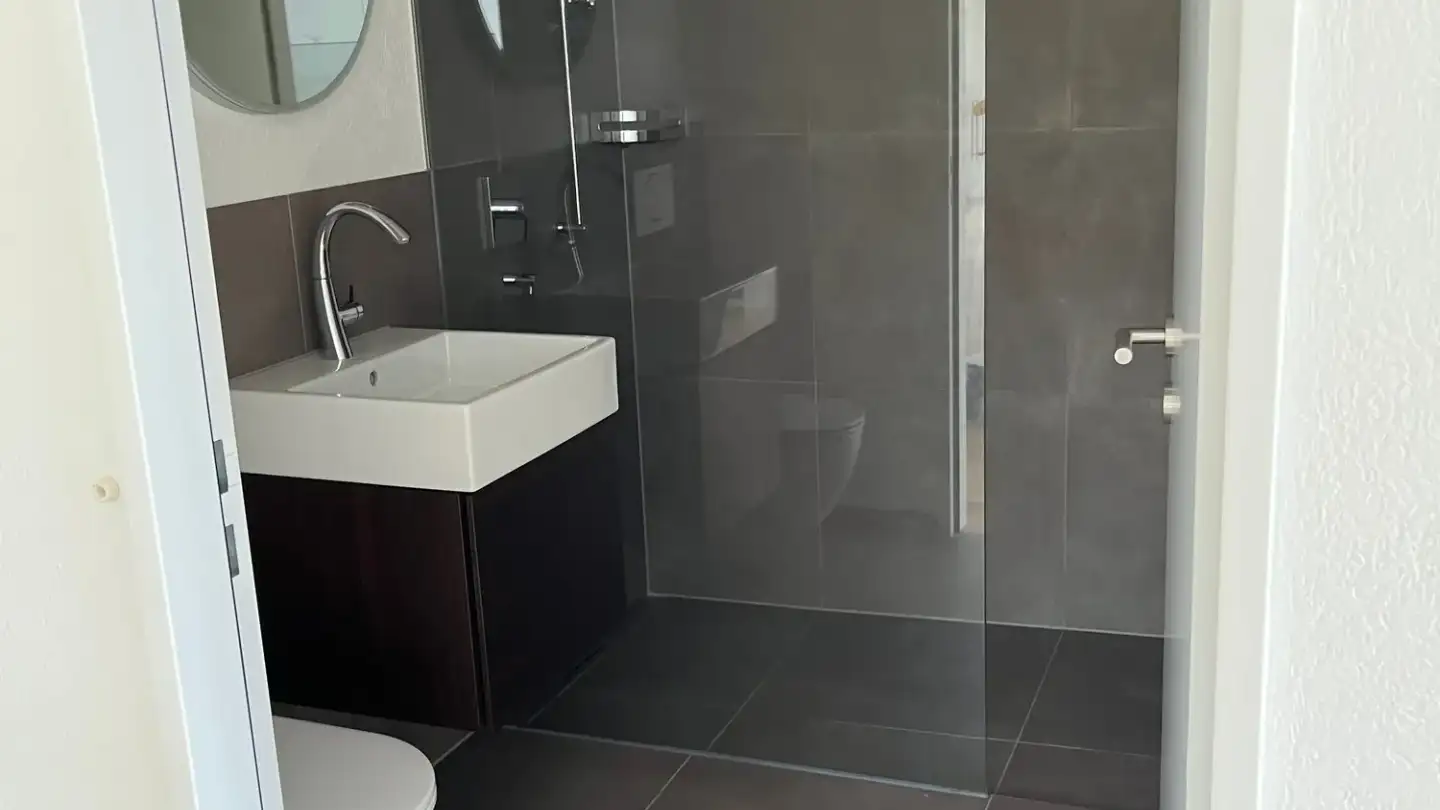 Loft for rent - Dammweg, 5200 Brugg AG - Photo 4