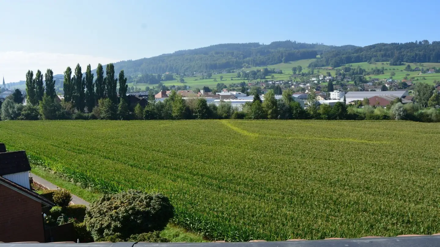 Apartment for rent - Dürrmattweg 3, 5734 Reinach AG - Photo 3